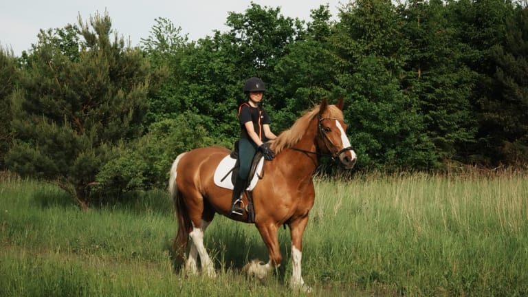 A girl riding a horse